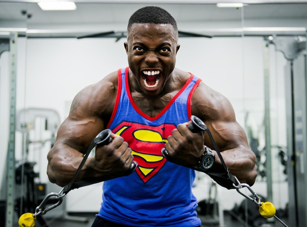 Chest Workout Gym