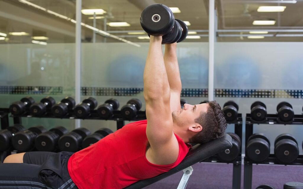 Chest Exercises Gym Dumbbell Bench Press