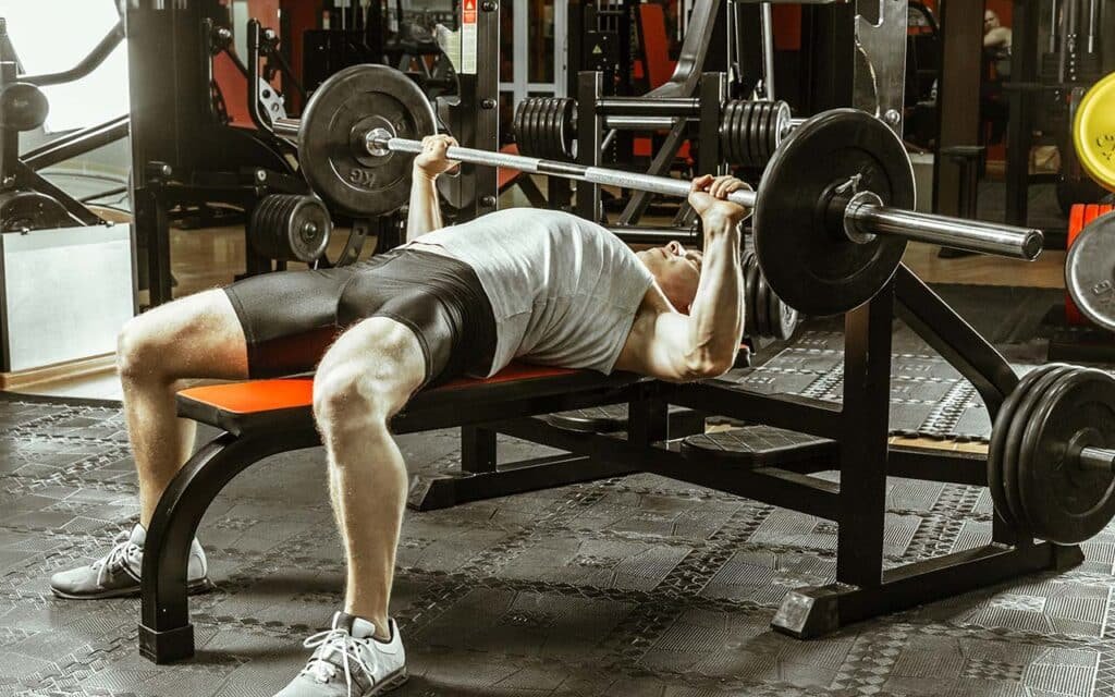 Chest Exercises Gym Barbell Bench Press