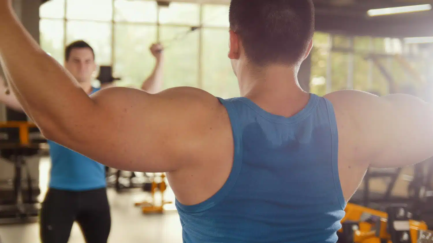 Bodyweight Back Exercises