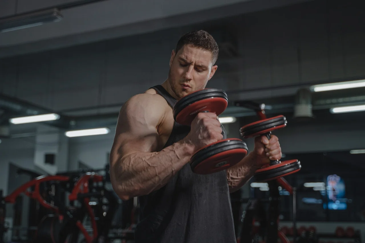 long head bicep exercises